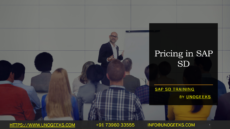 Pricing In Sap Sd