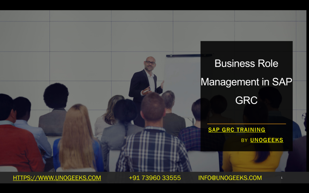 Business Role Management in SAP GRC